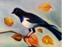 Autumn Magpie